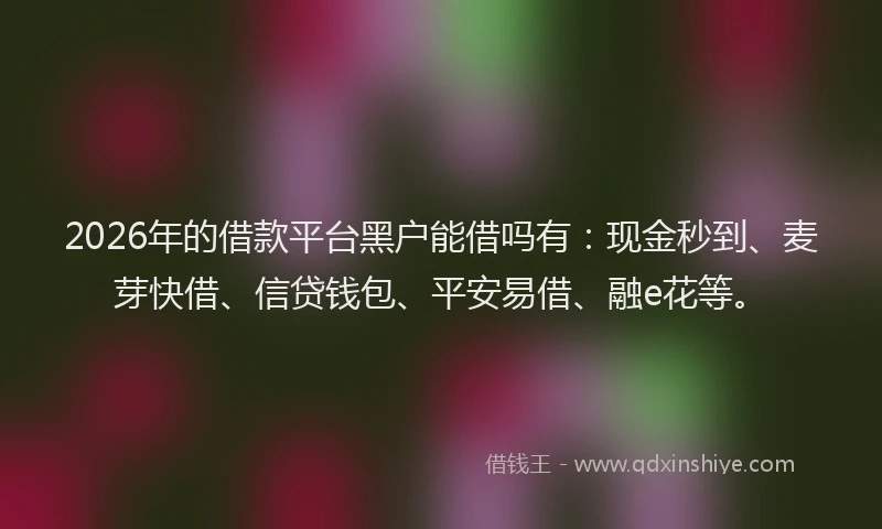 2026年的借款平台黑户能借吗有：现金秒到、麦芽快借、信贷钱包、平安易借、融e花等。