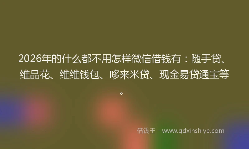 2026年的什么都不用怎样微信借钱有：随手贷、维品花、维维钱包、哆来米贷、现金易贷通宝等。