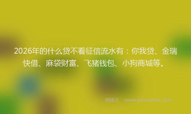2026年的什么贷不看征信流水有：你我贷、金瑞快借、麻袋财富、飞猪钱包、小狗商城等。
