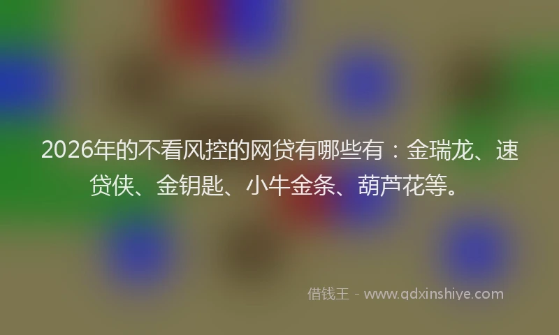 2026年的不看风控的网贷有哪些有：金瑞龙、速贷侠、金钥匙、小牛金条、葫芦花等。