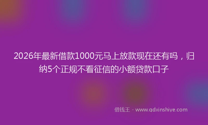 2026年最新借款1000元马上放款现在还有吗，归纳5个正规不看征信的小额贷款口子