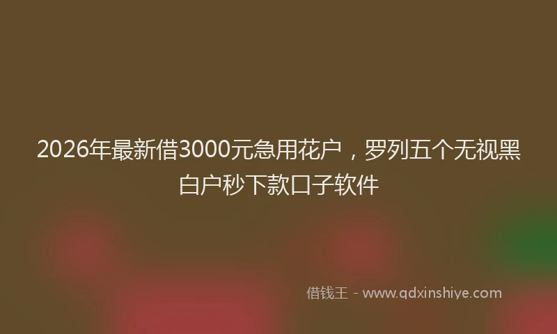 2026年最新借3000元急用花户，罗列五个无视黑白户秒下款口子软件