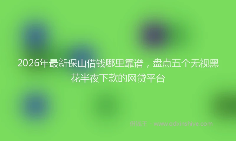 2026年最新保山借钱哪里靠谱，盘点五个无视黑花半夜下款的网贷平台