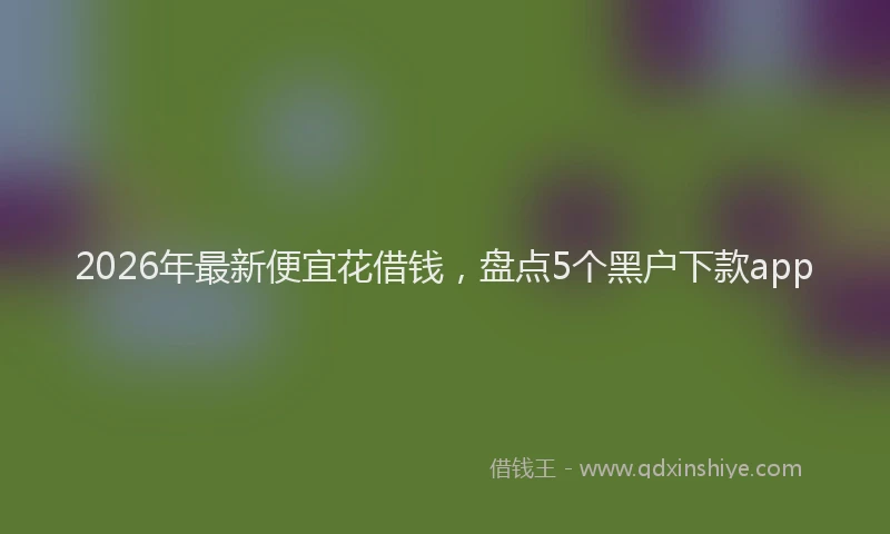 2026年最新便宜花借钱，盘点5个黑户下款app