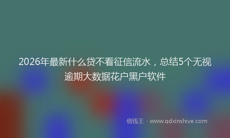 2026年最新什么贷不看征信流水，总结5个无视逾期大数据花户黑户软件