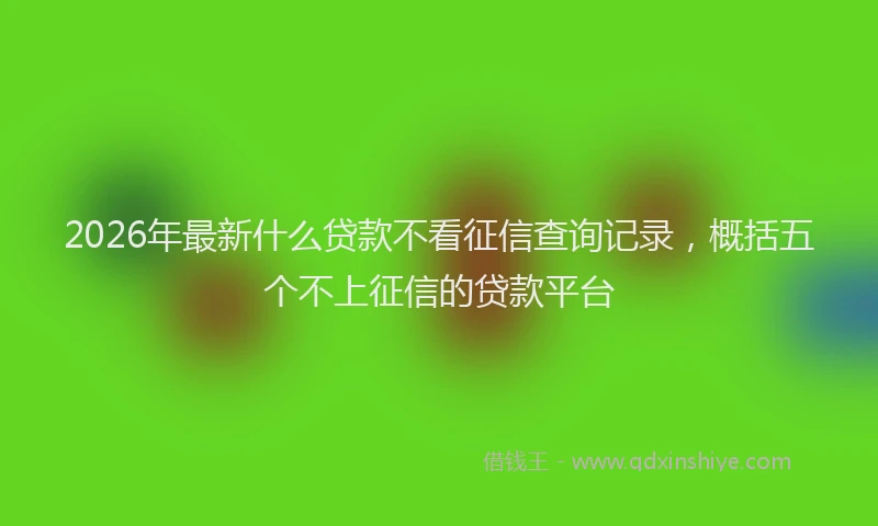 2026年最新什么贷款不看征信查询记录,概括五个不上征信的贷款平台