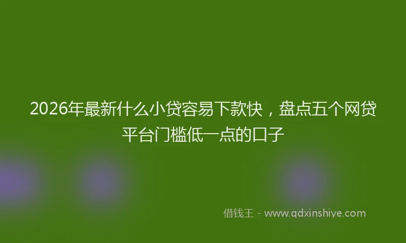 2026年最新什么小贷容易下款快，盘点五个网贷平台门槛低一点的口子
