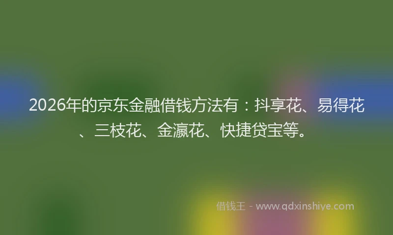 2026年的京东金融借钱方法有：抖享花、易得花、三枝花、金瀛花、快捷贷宝等。