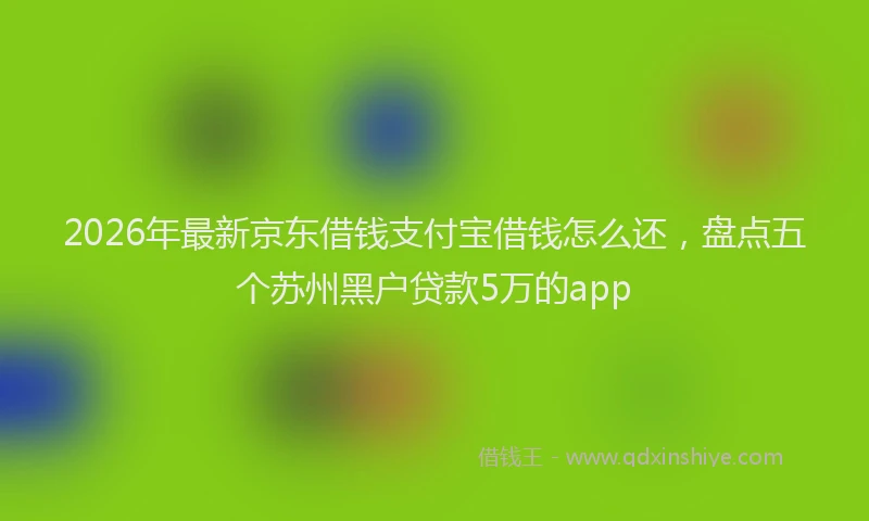 2026年最新京东借钱支付宝借钱怎么还,盘点五个苏州黑户贷款5万的app