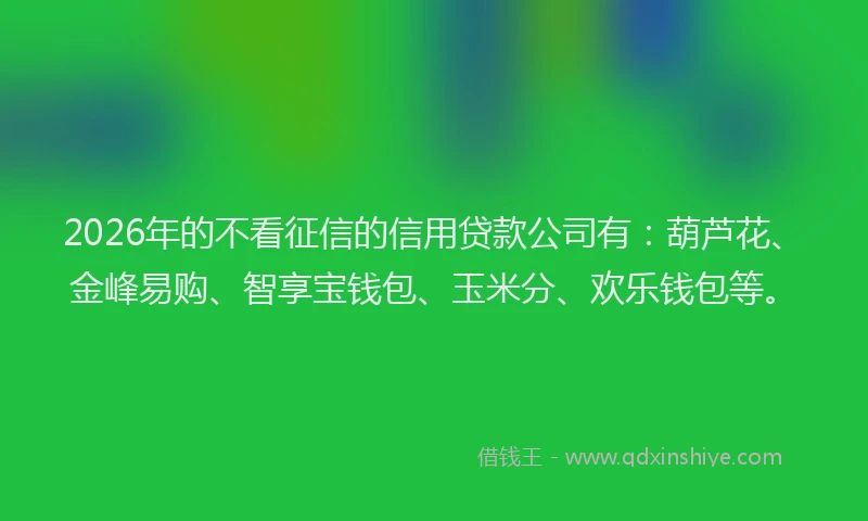 2026年的不看征信的信用贷款公司有：葫芦花、金峰易购、智享宝钱包、玉米分、欢乐钱包等。