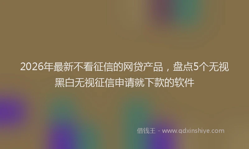 2026年最新不看征信的网贷产品，盘点5个无视黑白无视征信申请就下款的软件