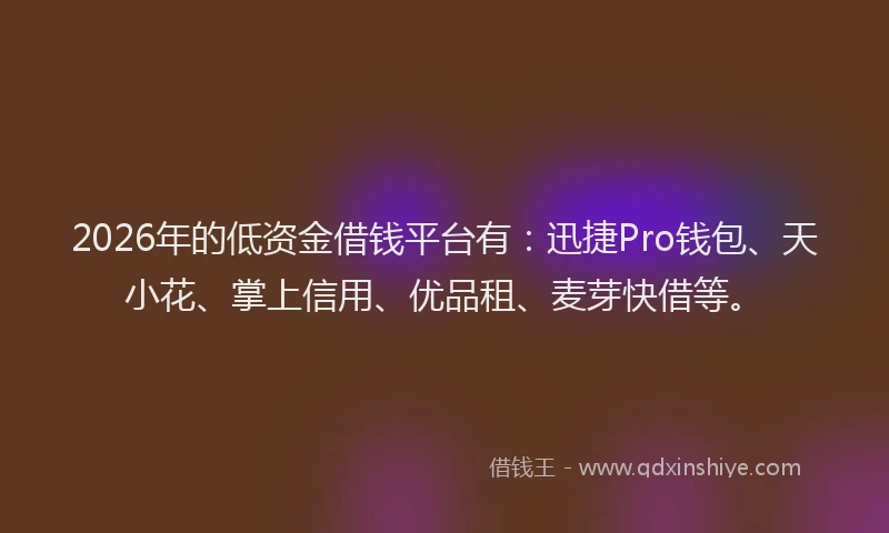 2026年的低资金借钱平台有:迅捷Pro钱包、天小花、掌上信用、优品租、麦芽快借等。
