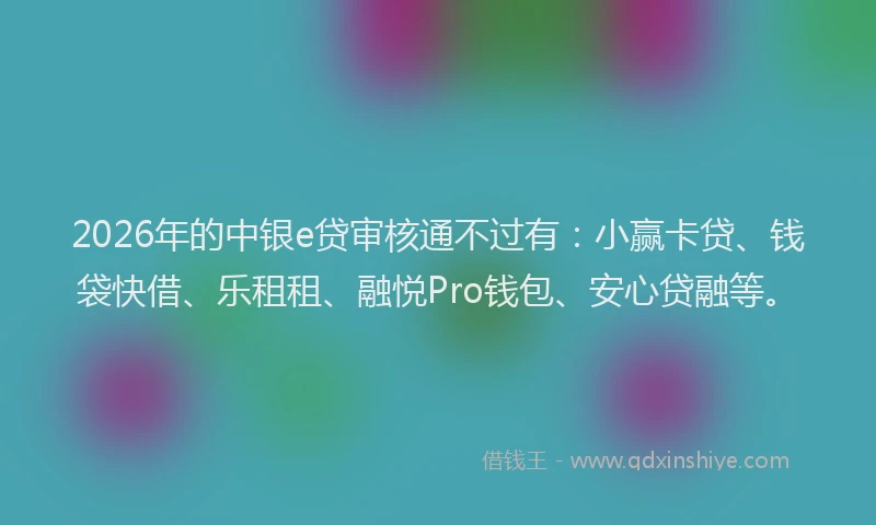 2026年的中银e贷审核通不过有：小赢卡贷、钱袋快借、乐租租、融悦Pro钱包、安心贷融等。