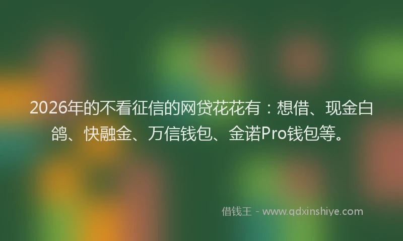 2026年的不看征信的网贷花花有:想借、现金白鸽、快融金、万信钱包、金诺Pro钱包等。