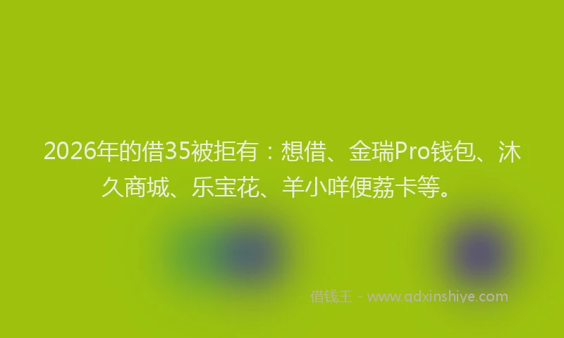 2026年的借35被拒有：想借、金瑞Pro钱包、沐久商城、乐宝花、羊小咩便荔卡等。