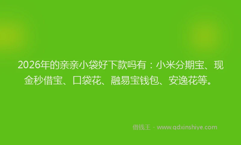 2026年的亲亲小袋好下款吗有：小米分期宝、现金秒借宝、口袋花、融易宝钱包、安逸花等。