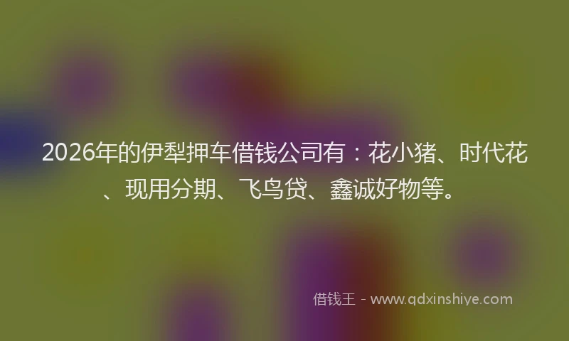 2026年的伊犁押车借钱公司有:花小猪、时代花、现用分期、飞鸟贷、鑫诚好物等。