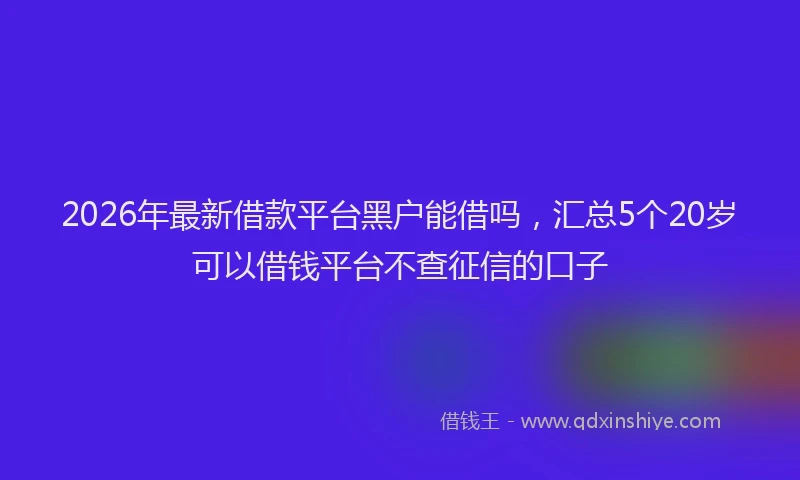 2026年最新借款平台黑户能借吗，汇总5个20岁可以借钱平台不查征信的口子