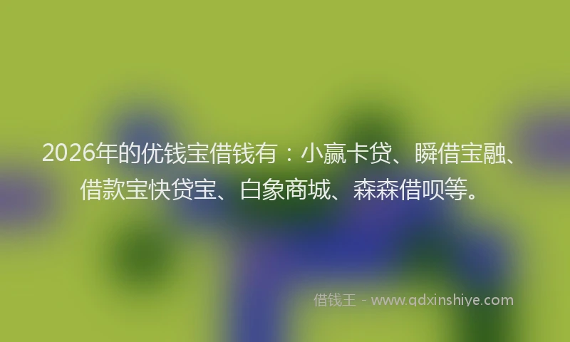 2026年的优钱宝借钱有：小赢卡贷、瞬借宝融、借款宝快贷宝、白象商城、森森借呗等。