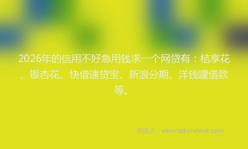 2026年的信用不好急用钱求一个网贷有：桔享花、银杏花、快借速贷宝、新浪分期、洋钱罐借款等。
