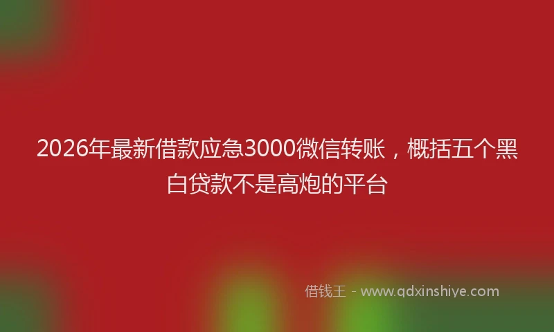 2026年最新借款应急3000微信转账，概括五个黑白贷款不是高炮的平台