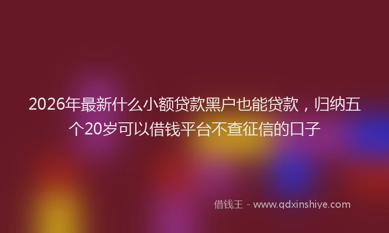2026年最新什么小额贷款黑户也能贷款，归纳五个20岁可以借钱平台不查征信的口子