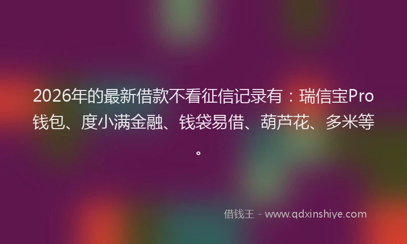 2026年的最新借款不看征信记录有：瑞信宝Pro钱包、度小满金融、钱袋易借、葫芦花、多米等。