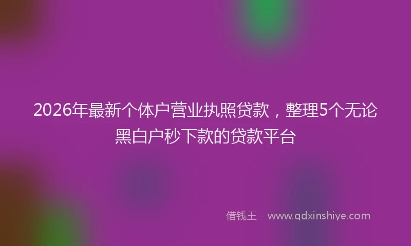 2026年最新个体户营业执照贷款，整理5个无论黑白户秒下款的贷款平台