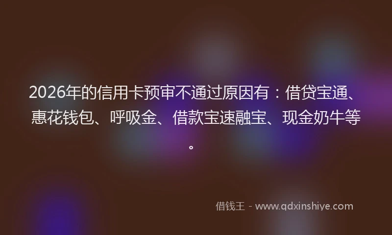 2026年的信用卡预审不通过原因有：借贷宝通、惠花钱包、呼吸金、借款宝速融宝、现金奶牛等。