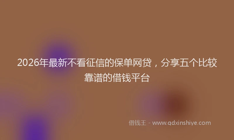 2026年最新不看征信的保单网贷,分享五个比较靠谱的借钱平台
