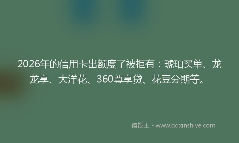 2026年的信用卡出额度了被拒有：琥珀买单、龙龙享、大洋花、360尊享贷、花豆分期等。