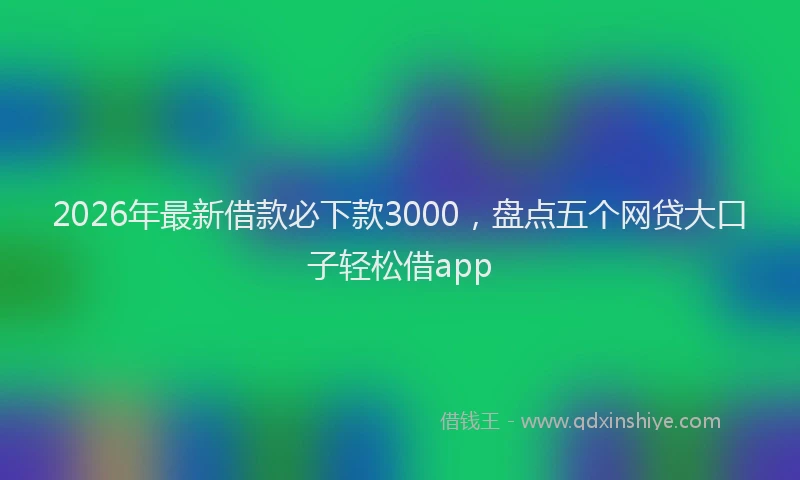 2026年最新借款必下款3000，盘点五个网贷大口子轻松借app