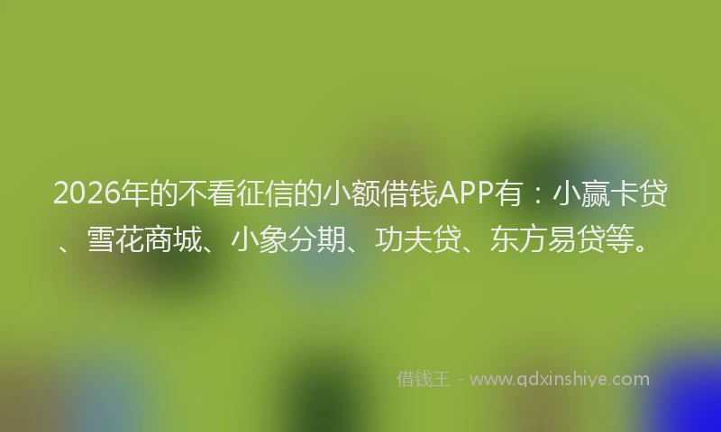 2026年的不看征信的小额借钱APP有:小赢卡贷、雪花商城、小象分期、功夫贷、东方易贷等。