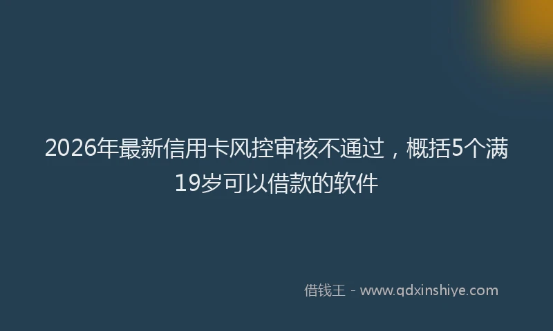 2026年最新信用卡风控审核不通过，概括5个满19岁可以借款的软件