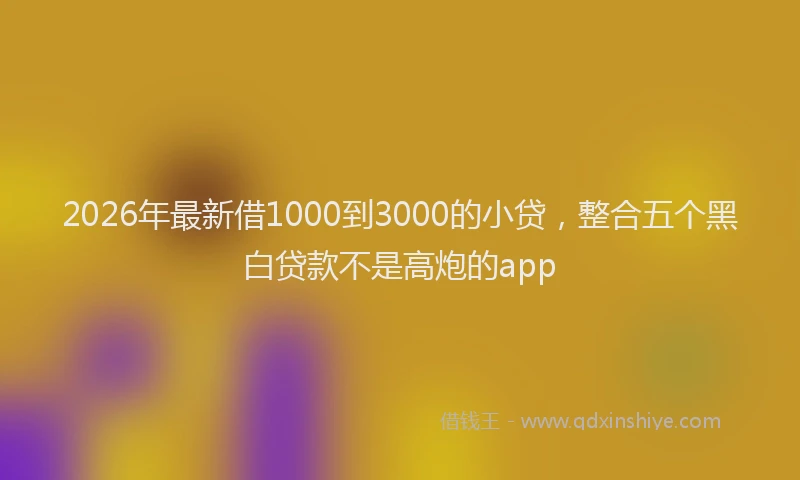 2026年最新借1000到3000的小贷，整合五个黑白贷款不是高炮的app