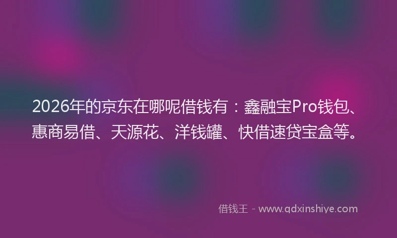 2026年的京东在哪呢借钱有：鑫融宝Pro钱包、惠商易借、天源花、洋钱罐、快借速贷宝盒等。