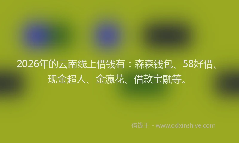 2026年的云南线上借钱有:森森钱包、58好借、现金超人、金瀛花、借款宝融等。