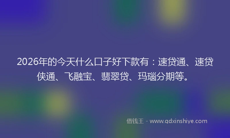 2026年的今天什么口子好下款有:速贷通、速贷侠通、飞融宝、翡翠贷、玛瑙分期等。