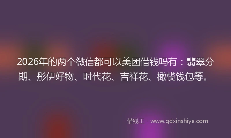 2026年的两个微信都可以美团借钱吗有：翡翠分期、彤伊好物、时代花、吉祥花、橄榄钱包等。