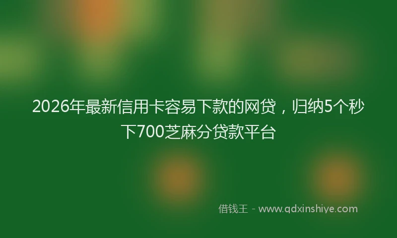 2026年最新信用卡容易下款的网贷，归纳5个秒下700芝麻分贷款平台