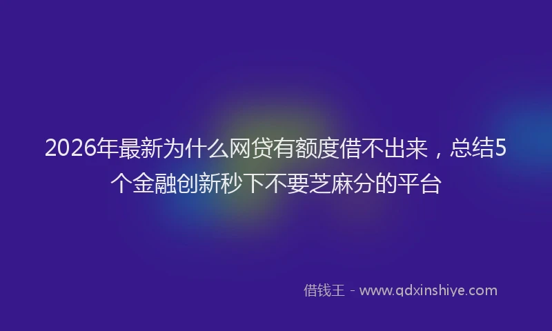 2026年最新为什么网贷有额度借不出来，总结5个金融创新秒下不要芝麻分的平台