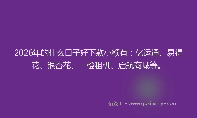 2026年的什么口子好下款小额有：亿运通、易得花、银杏花、一橙租机、启航商城等。