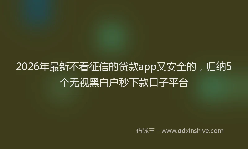 2026年最新不看征信的贷款app又安全的，归纳5个无视黑白户秒下款口子平台