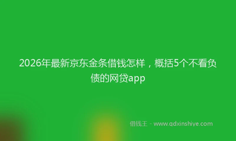 2026年最新京东金条借钱怎样，概括5个不看负债的网贷app
