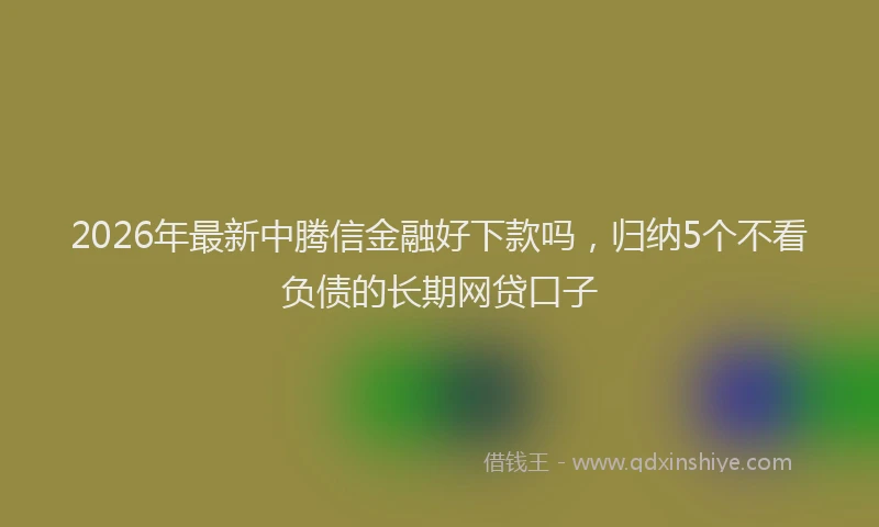 2026年最新中腾信金融好下款吗，归纳5个不看负债的长期网贷口子