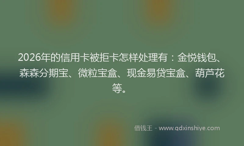 2026年的信用卡被拒卡怎样处理有：金悦钱包、森森分期宝、微粒宝盒、现金易贷宝盒、葫芦花等。
