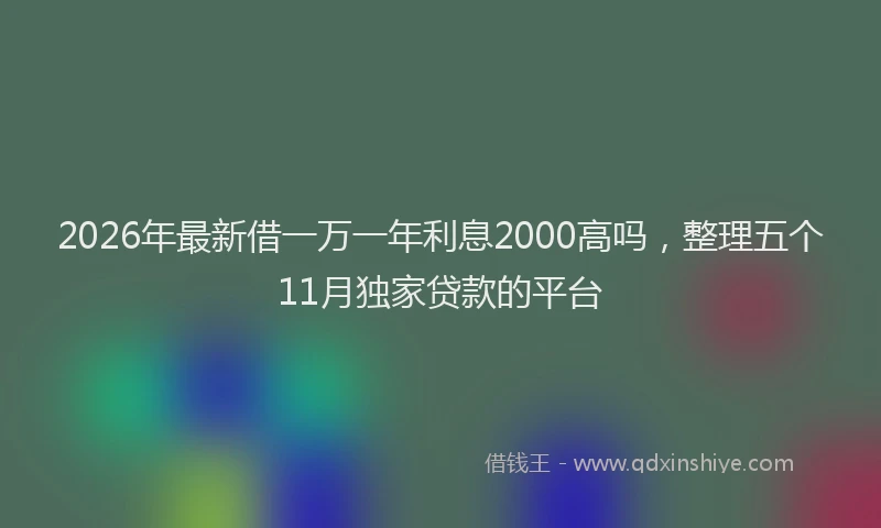 2026年最新借一万一年利息2000高吗，整理五个11月独家贷款的平台