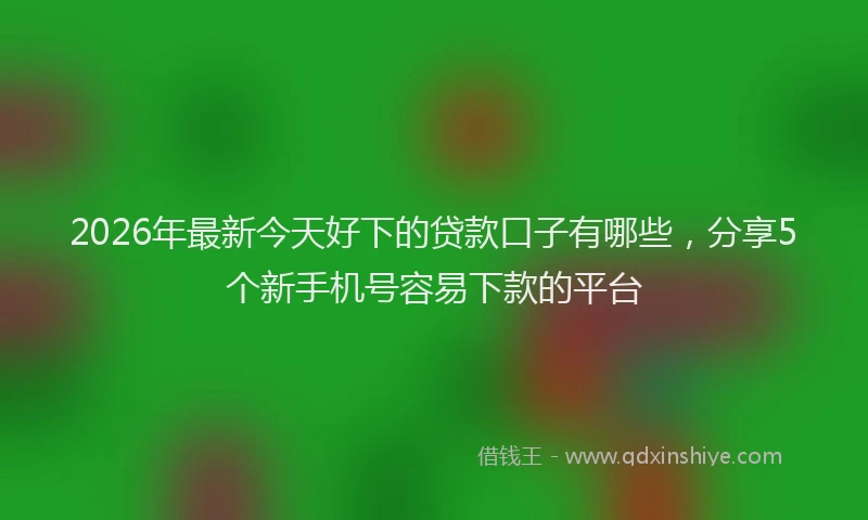 2026年最新今天好下的贷款口子有哪些，分享5个新手机号容易下款的平台