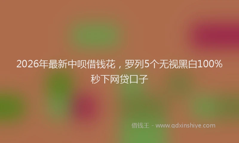 2026年最新中呗借钱花，罗列5个无视黑白100%秒下网贷口子