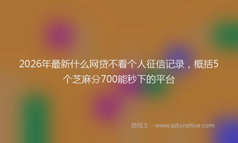 2026年最新什么网贷不看个人征信记录,概括5个芝麻分700能秒下的平台